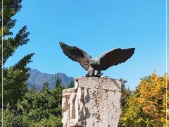 -鹫峰国家森林公园