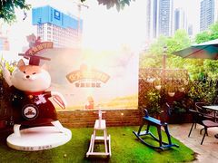 -柴犬高等学院·狗咖·柴犬售卖·宠物训练