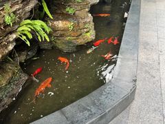 -佛山顺德香云纱园林酒店(清晖园店)