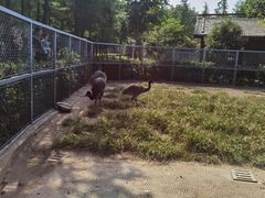 -上方山森林动物世界