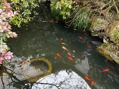 -胡雪岩故居
