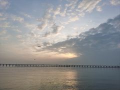 -宝安西湾红树林湿地公园