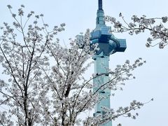 -海底捞火锅(中南盐城大有境夜宵主题店)