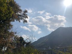 -广州市流溪河国家森林公园