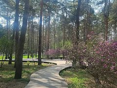 -黑龙江省森林植物园