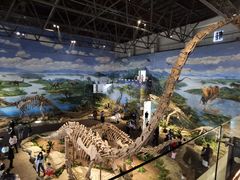 -自贡恐龙博物馆