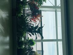 -温州龙湾国际机场
