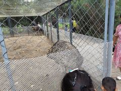 -长白岛森林公园