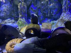 -正佳极地海洋世界