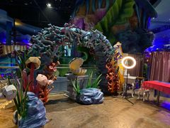 -青岛嘉年华主题乐园