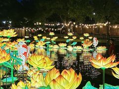-乌镇景区
