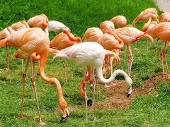 -哈尔滨北方森林动物园