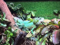 -上海海洋水族馆