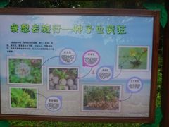 -金山植物公园