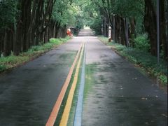 -同里国家湿地公园