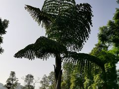 -眉山湿地公园(东坡区)