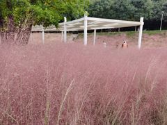 -牛岗山公园