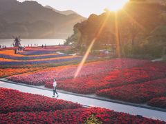 -广州市石门国家森林公园