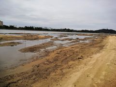 -鹤之洲湿地公园