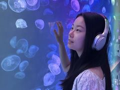 -南昌融创海世界
