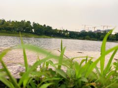 -美兰湖景区