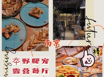 露营风格的装修以及爬宠是非常吸引我的，再配上不错的美