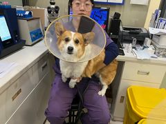 -萌兽医馆·眼科·异宠专科(三里屯店)