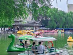 -团结湖公园