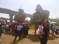 -秀丽东方