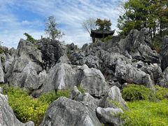 -千岛湖石林