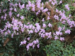 -天台山琼台仙谷景区
