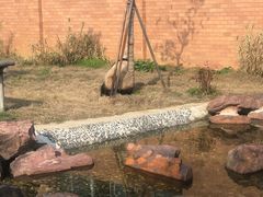-苏州太湖国家湿地公园