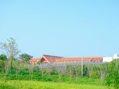 -广富林郊野公园