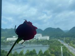 -铁人烧烤(北京店)