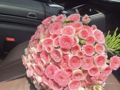 -Dark Horse·黑马蛋糕·低脂·低糖淡奶(金匙望湖大厦店)