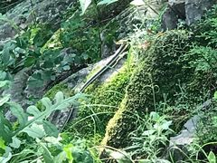 -云岫谷自然风景区