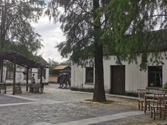 -同里国家湿地公园