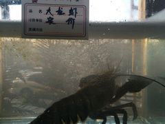 -东海章鱼馆(恒瑞街店)