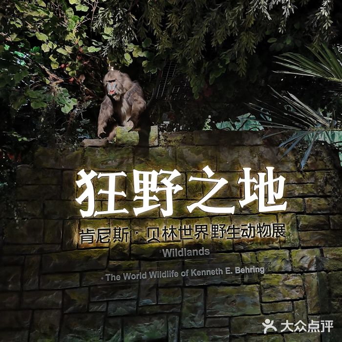 浙江省科技馆图片