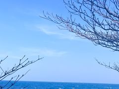-三亚西岛海洋文化旅游区