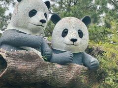 -安吉竹博园