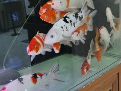 -水沐汇洗浴广场(香檀一号店)