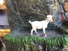 -全聚德(友谊店)