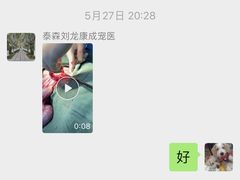 -康成宠物医院24H·CT·核磁共振