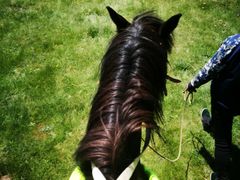 景点-祁连山草原