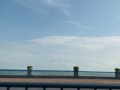 -合肥滨湖国家森林公园