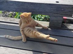 鹅銮鼻灯塔-鹅銮鼻灯塔