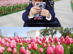 -大宁郁金香公园-停车场