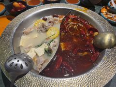 -麻田会 ·鲜活现烹·牛蛙火锅(珠江新城维家思广场店)
