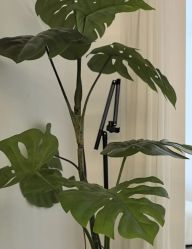 -挚纯baby儿童摄影(庐阳区店)